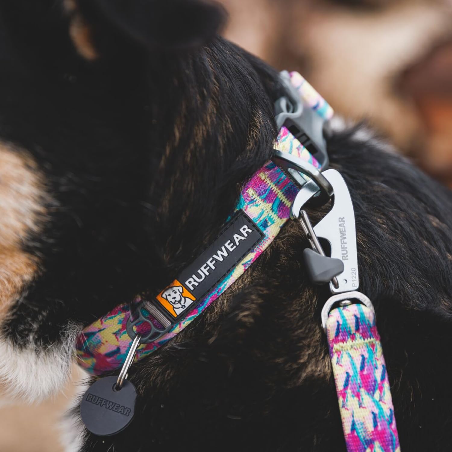 Ruffwear Front Range Dog Collar - Reef Fish - Adjustable 14-20 Inch Lightweight with Silencer