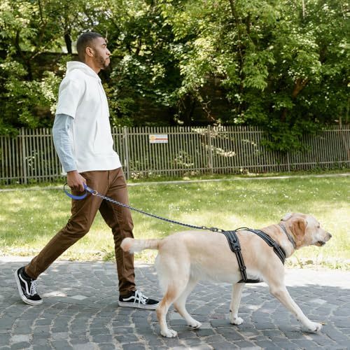 S-ETOVUS Chain Dog Leash 5.2FT Heavy Duty Metal Anti Chew Leash for Medium Large Dogs, Blue