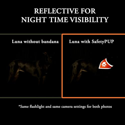 SafetyPUP XD Blaze Orange Reflective Dog Bandana - Large (18-23 in Neck) - High Visibility Adjustable Pet Scarf