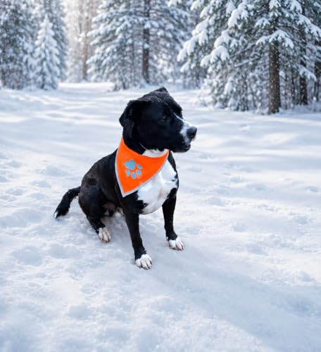 SafetyPUP XD Blaze Orange Reflective Dog Bandana – Medium, Adjustable, High-Visibility for Walks and Outdoor Adventures