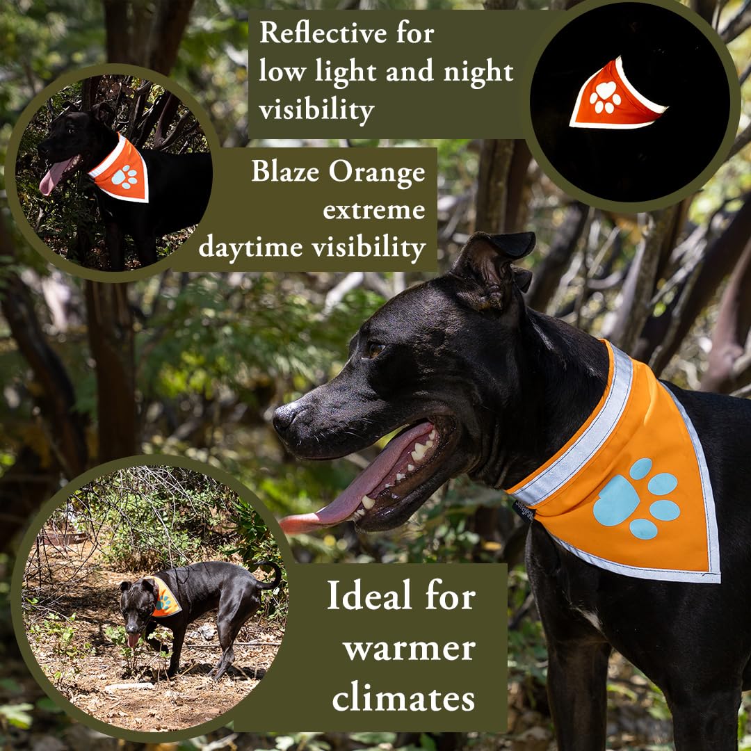 SafetyPUP XD Blaze Orange Reflective Dog Bandana – Medium, Adjustable, High-Visibility for Walks and Outdoor Adventures