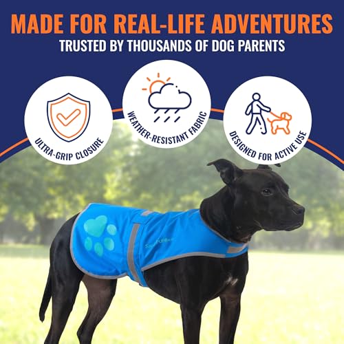 SafetyPUP XD Reflective Dog Vest - Hi-Vis Blue X-Small for Dogs 14-22 lbs