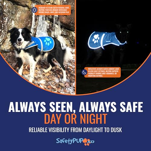 SafetyPUP XD Reflective Dog Vest - Hi-Vis Blue X-Small for Dogs 14-22 lbs