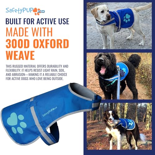SafetyPUP XD Reflective Dog Vest - Hi-Vis Blue X-Small for Dogs 14-22 lbs