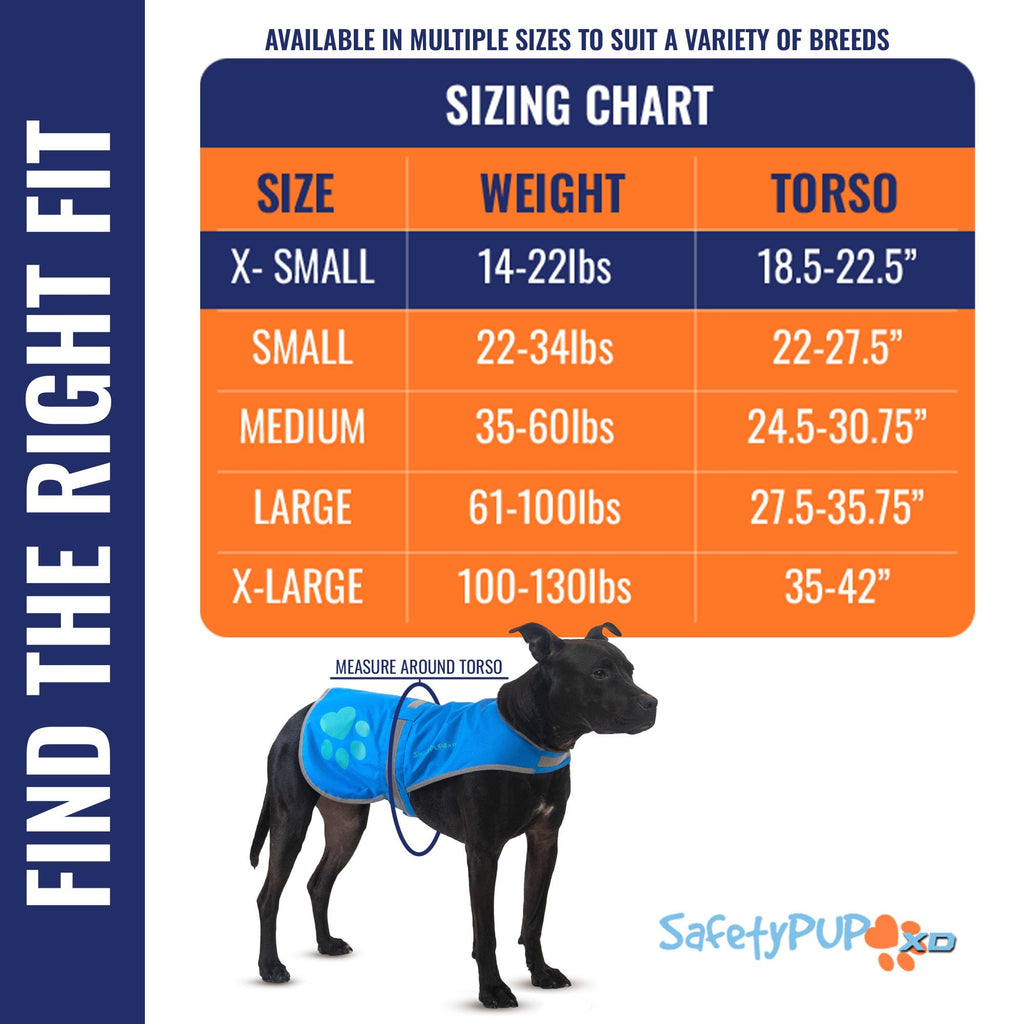 SafetyPUP XD Reflective Dog Vest - Hi-Vis Blue X-Small for Dogs 14-22 lbs
