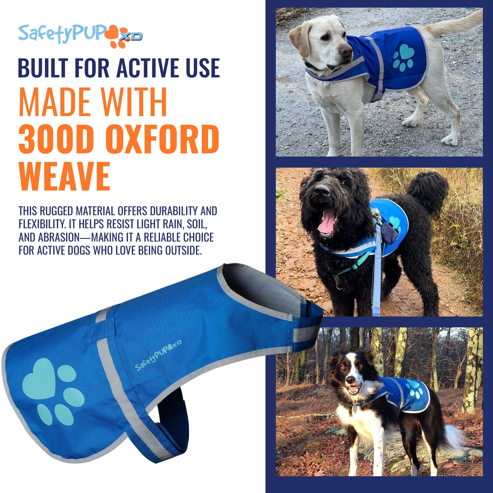 SafetyPUP XD Reflective Dog Vest - Hi-Vis Blue X-Small for Dogs 14-22 lbs