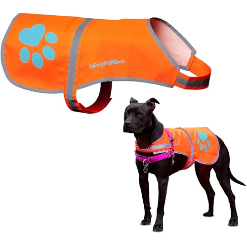 SafetyPUP XD Reflective Dog Vest - X-Large Blaze Orange, 100-130 lbs, Hi-Vis for Road & Field Safety