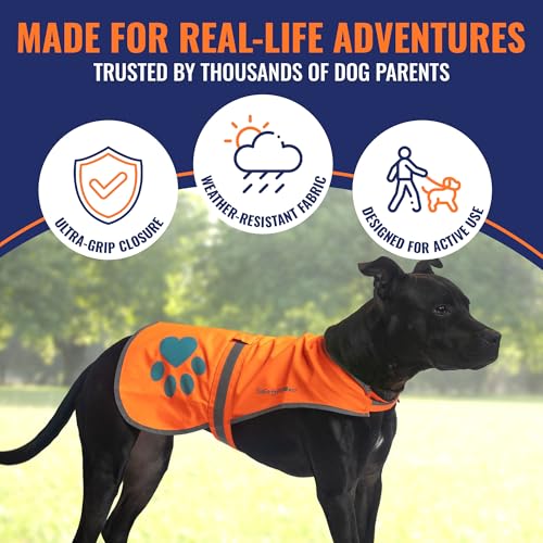 SafetyPUP XD Reflective Dog Vest - X-Large Blaze Orange, 100-130 lbs, Hi-Vis for Road & Field Safety