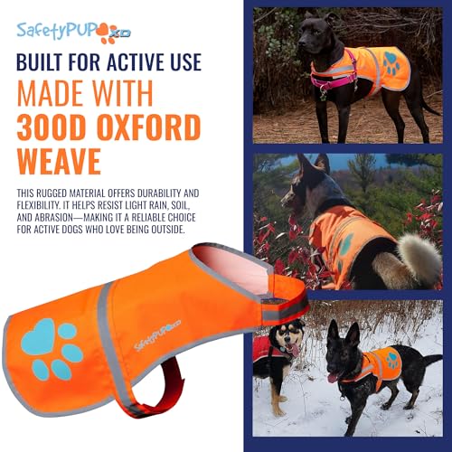 SafetyPUP XD Reflective Dog Vest - X-Large Blaze Orange, 100-130 lbs, Hi-Vis for Road & Field Safety