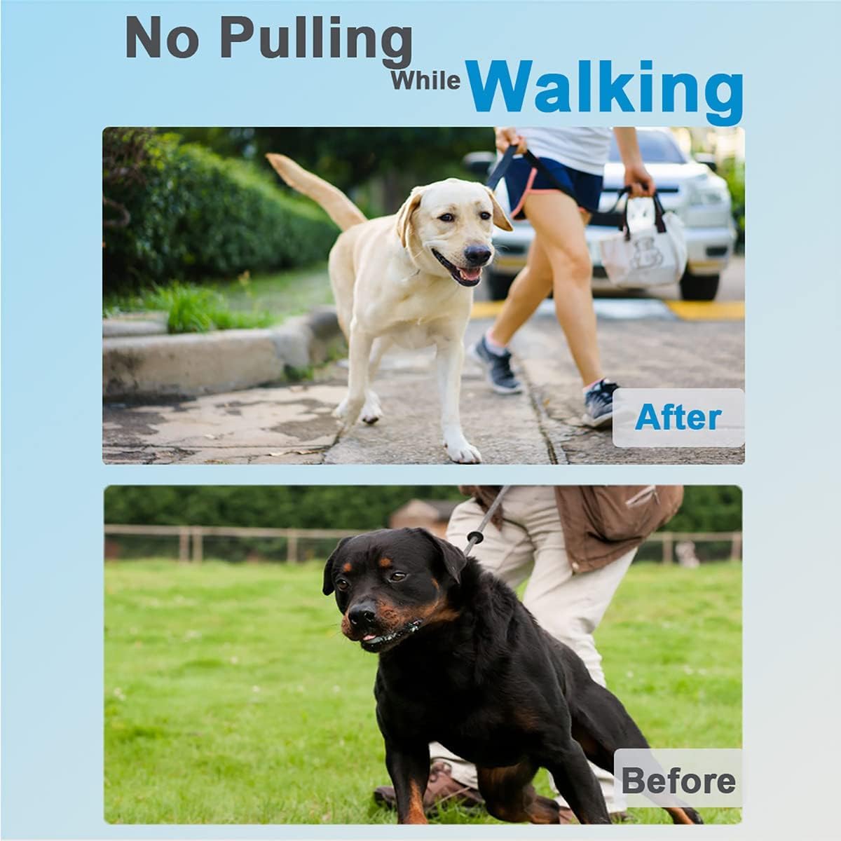 Safiman Prong Dog Collar – Stainless Steel Pinch Collar with Rubber Tips & Quick Release Buckle, Adjustable for Small to Extra-Large Dogs (Includes 2 Extra Links)