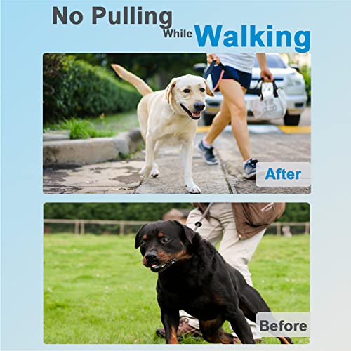 Safiman Prong Dog Collar with Quick Release Buckle – Adjustable No-Pull Training Collar for Small to Extra-Large Dogs (Silver, Stainless Steel, Includes Extra Links & Rubber Caps)