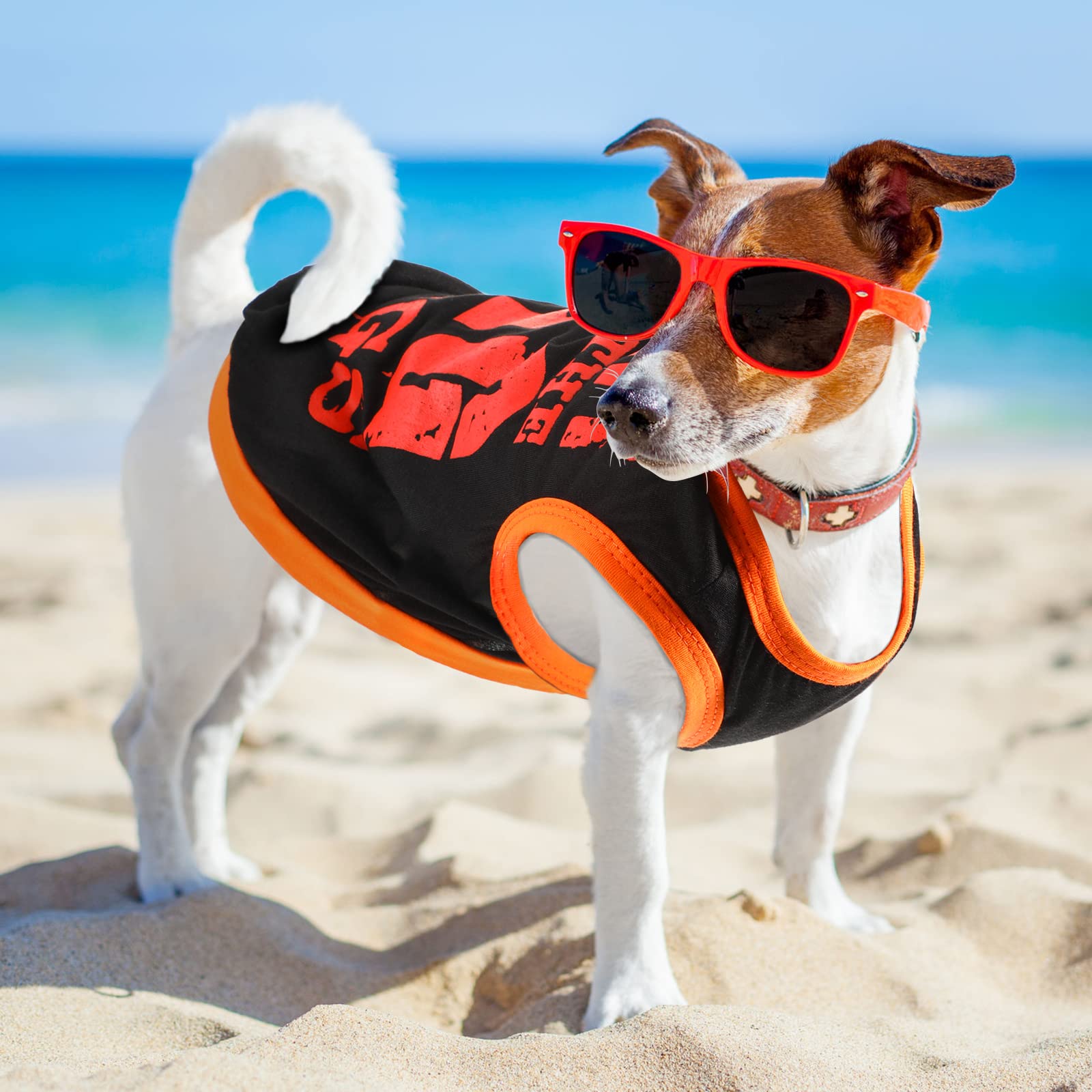 Saintrygo 8-Piece Funny Letter Dog Shirts: Soft, Breathable Pet T-Shirts for Small Dogs & Cats (Cute Pattern, Small)