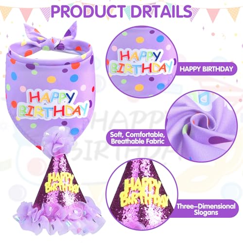 SCENEREAL Large Dog Birthday Bandana, Hat & Tutu Skirt Set - Purple Party Outfit for Medium Big Dogs