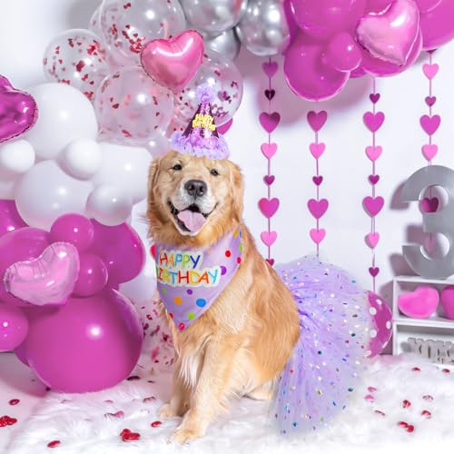 SCENEREAL Large Dog Birthday Bandana, Hat & Tutu Skirt Set - Purple Party Outfit for Medium Big Dogs