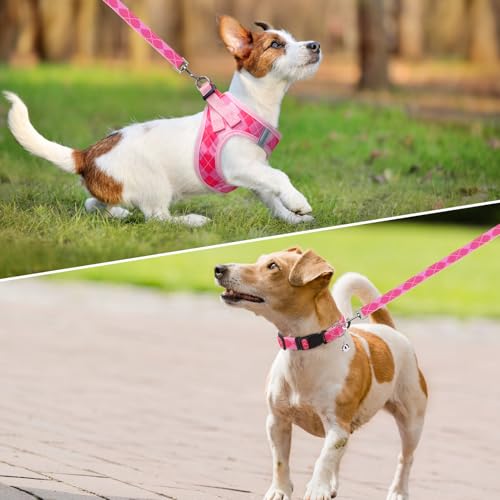 SCENEREAL Pink Plaid Dog Harness Set (Size M) – Step-in No Pull with Collar & Leash