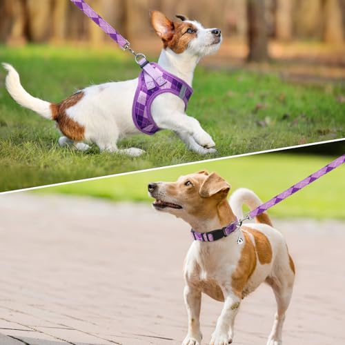 SCENEREAL Purple Plaid Small Dog Harness and Leash Set - No Pull, Reflective, Step-in XS