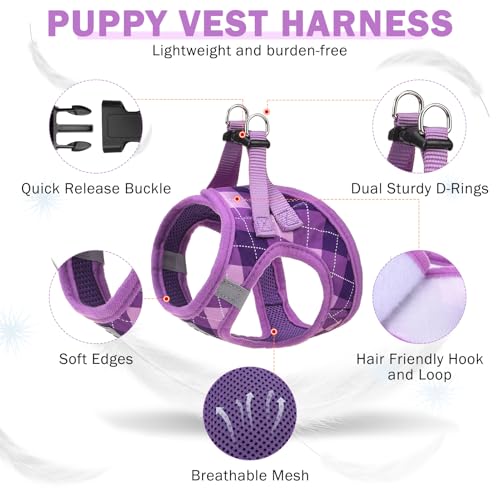 SCENEREAL Purple Plaid Small Dog Harness and Leash Set - No Pull, Reflective, Step-in XS