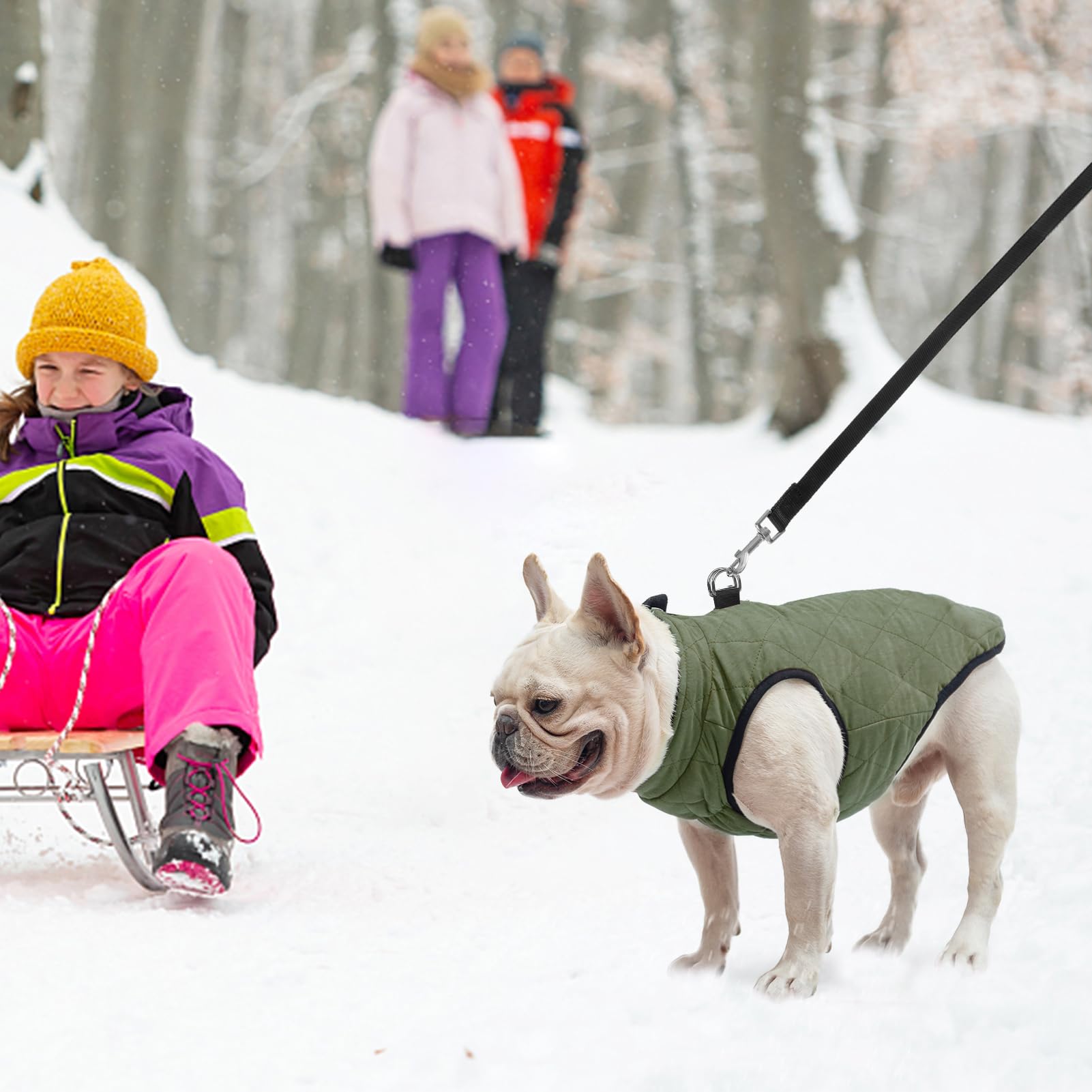 SCENEREAL Winter Dog Vest Coat with Built-in Harness, Size S for Small to Medium Dogs