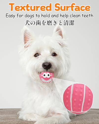 SCHITEC Squeaky Dog Balls 4 Pack - Interactive Latex Rubber Fetch Toys with Squeaker, 2.2 Inch Soft Bouncy Balls for Small Breed Dogs and Puppies