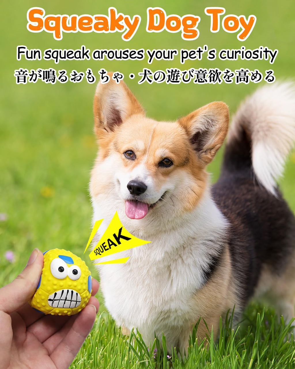 SCHITEC Squeaky Dog Balls 4 Pack - Interactive Latex Rubber Fetch Toys with Squeaker, 2.2 Inch Soft Bouncy Balls for Small Breed Dogs and Puppies