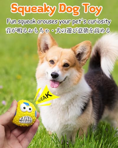 SCHITEC Squeaky Dog Balls 4 Pack - Interactive Latex Rubber Fetch Toys with Squeaker, 2.2 Inch Soft Bouncy Balls for Small Breed Dogs and Puppies