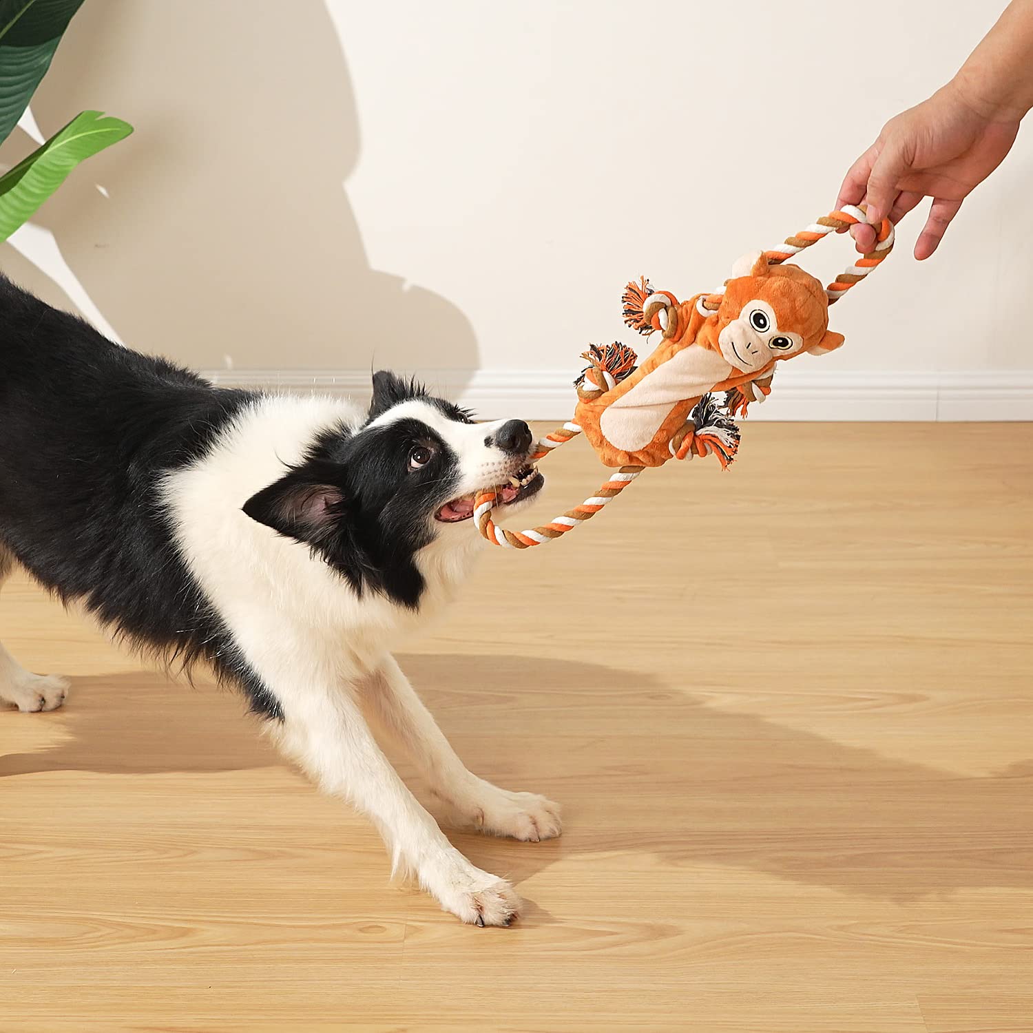 Sedioso Dog Tug Toy – Monkey Plush with Squeaker and Crinkle Paper for Interactive Play