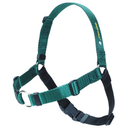 SENSE-ation No-Pull Dog Training Harness (Green, Medium-Large Wide) - Front-Leash Attachment