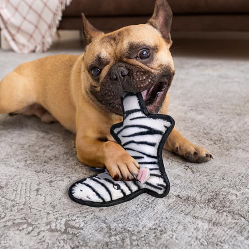 SHARLOVY No Stuffing Dog Toy: Durable Crinkle Squeaky Chew Toy for Aggressive Chewers - 6 Tough Layers, 3 Sizes