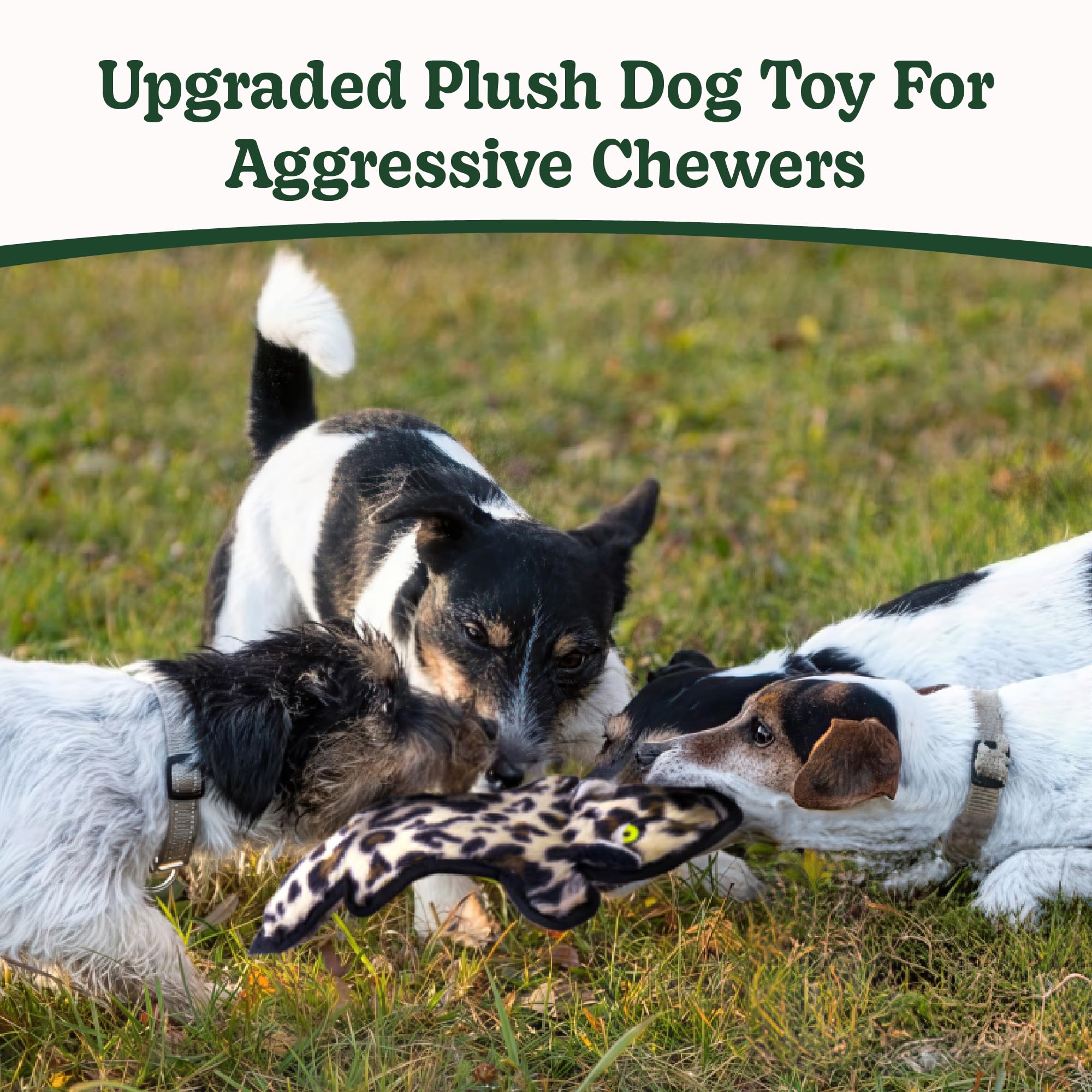 SHARLOVY No Stuffing Dog Toy: Durable Crinkle Squeaky Chew Toy for Aggressive Chewers - 6 Tough Layers, 3 Sizes