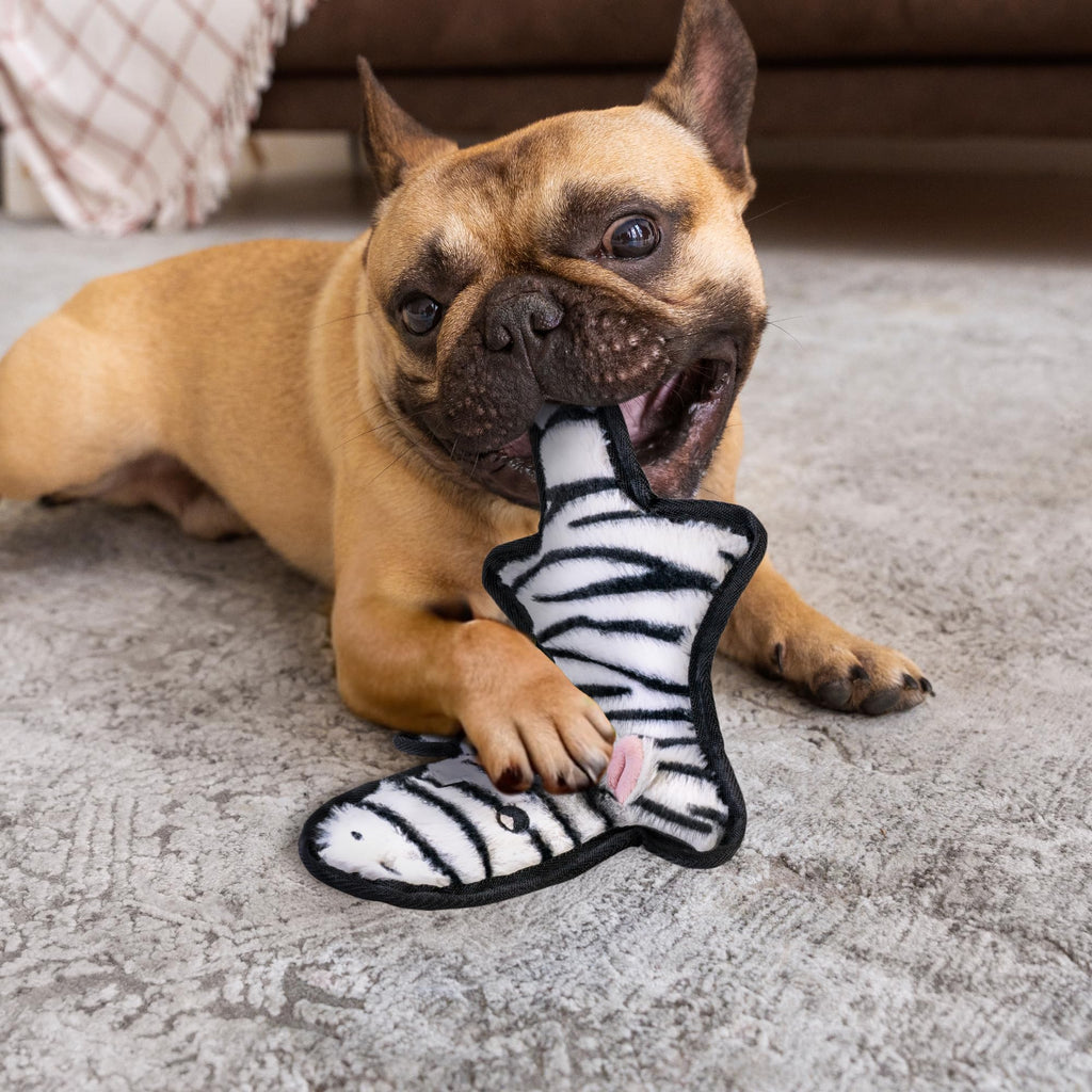 SHARLOVY No Stuffing Dog Toy: Durable Crinkle Squeaky Chew Toy for Aggressive Chewers - 6 Tough Layers, 3 Sizes