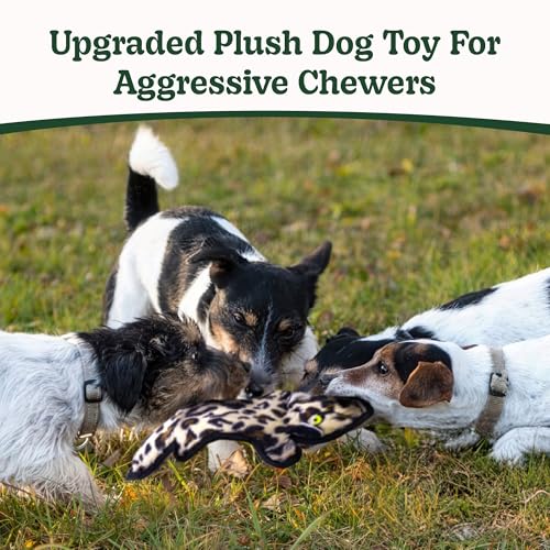 SHARLOVY No Stuffing Dog Toy: Durable Crinkle Squeaky Chew Toy for Aggressive Chewers - 6 Tough Layers, 3 Sizes