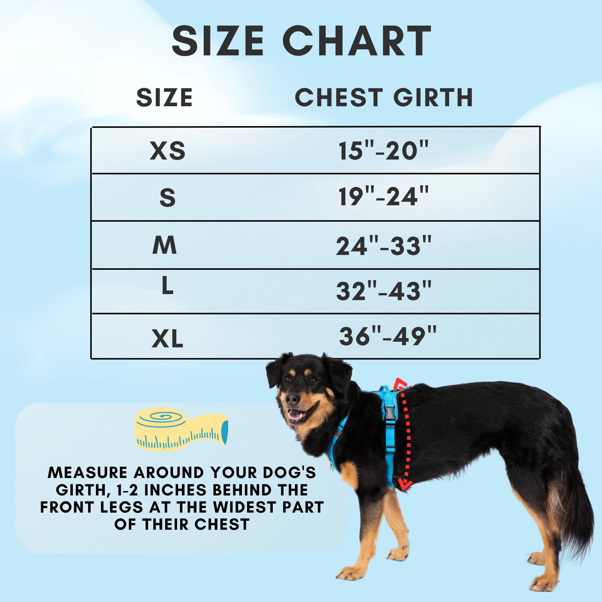 ShawnCo Basecamp No-Pull Dog Harness – Large Sunset Orange Vest with 3 Leash Clips, Padded, Reflective, Adjustable