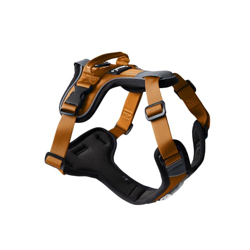 ShawnCo Basecamp No-Pull Dog Harness – Large Sunset Orange Vest with 3 Leash Clips, Padded, Reflective, Adjustable