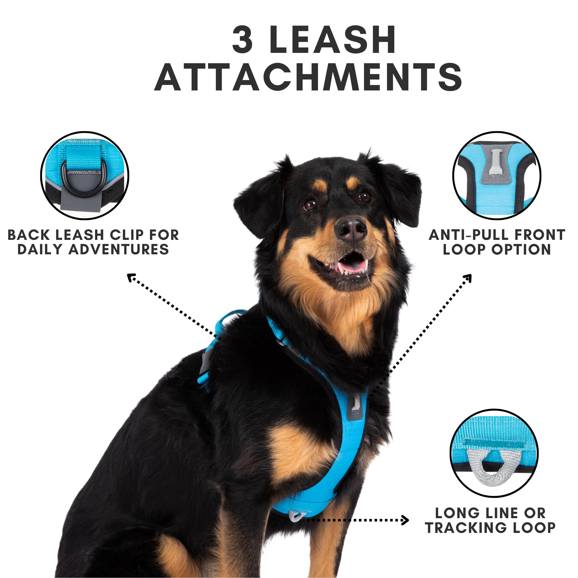 SHAWNCO Basecamp No-Pull Dog Harness, Olive Green Size S, with 3 Leash Clips and Padded Reflective Vest