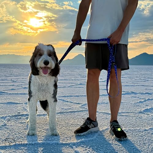 ShawnCo Dream Walk Dog Leash – Nylon Neoprene Handle, 6ft, Orchid, M/L (2 Handles)