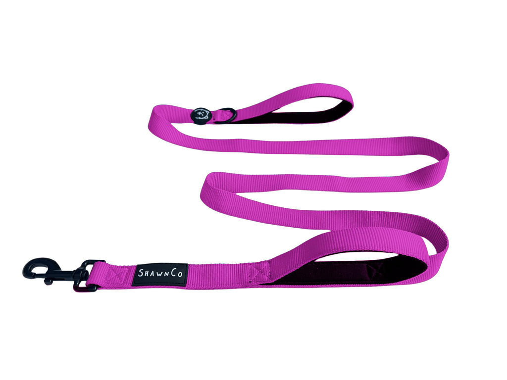 ShawnCo Dream Walk Dog Leash – Nylon Neoprene Handle, 6ft, Orchid, M/L (2 Handles)