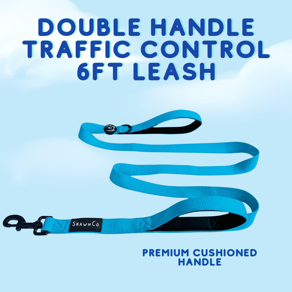 ShawnCo Dream Walk Dog Leash – Nylon Neoprene Handle, 6ft, Orchid, M/L (2 Handles)