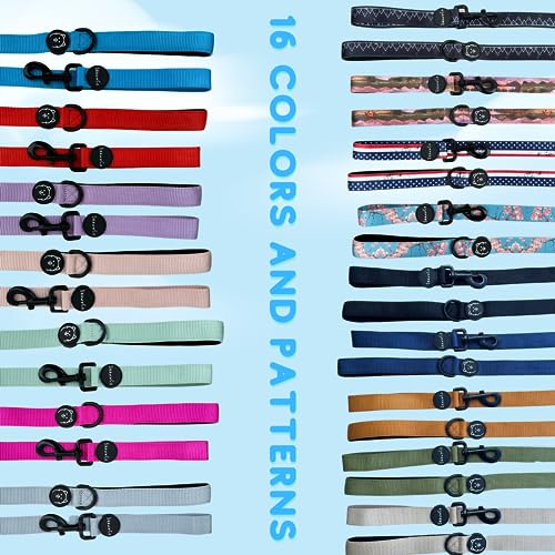 ShawnCo Dream Walk Dog Leash – Nylon Neoprene Handle, 6ft, Orchid, M/L (2 Handles)