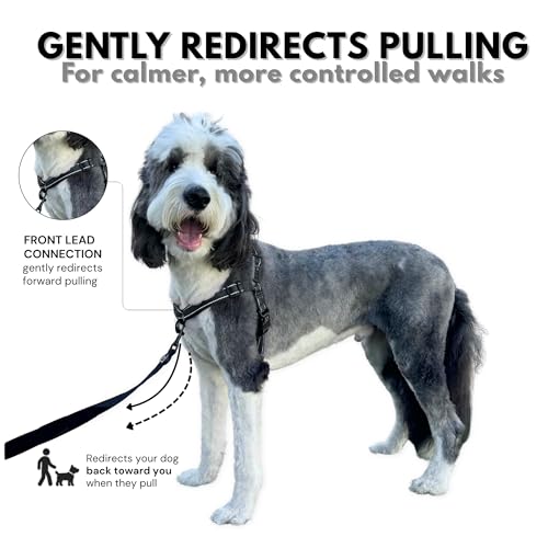 SHAWNCO Dream Walk Pro Dog Harness - No-Pull, Small, Midnight, Nylon - Front & Back Clip