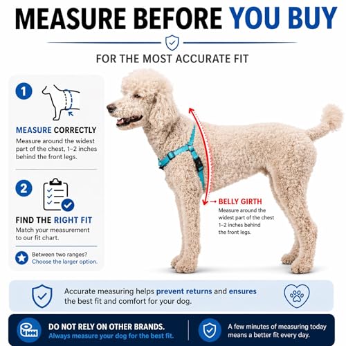SHAWNCO Dream Walk Pro Dog Harness - No-Pull, Small, Midnight, Nylon - Front & Back Clip