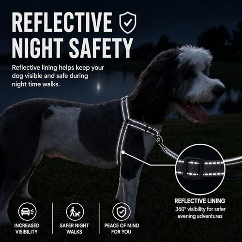 SHAWNCO Dream Walk Pro Dog Harness - No-Pull, Small, Midnight, Nylon - Front & Back Clip