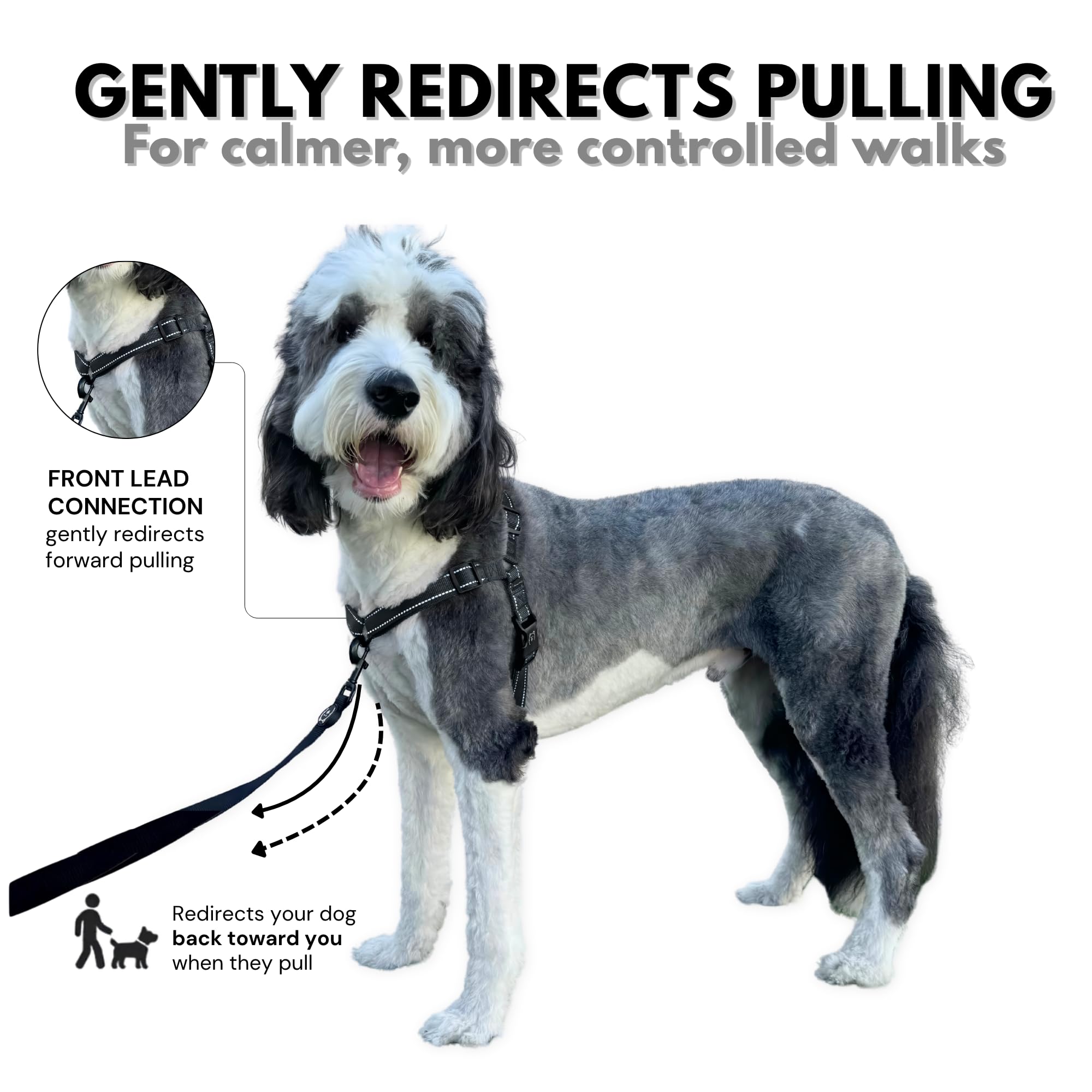 SHAWNCO Dream Walk Pro Dog Harness - No-Pull, Small, Midnight, Nylon - Front & Back Clip