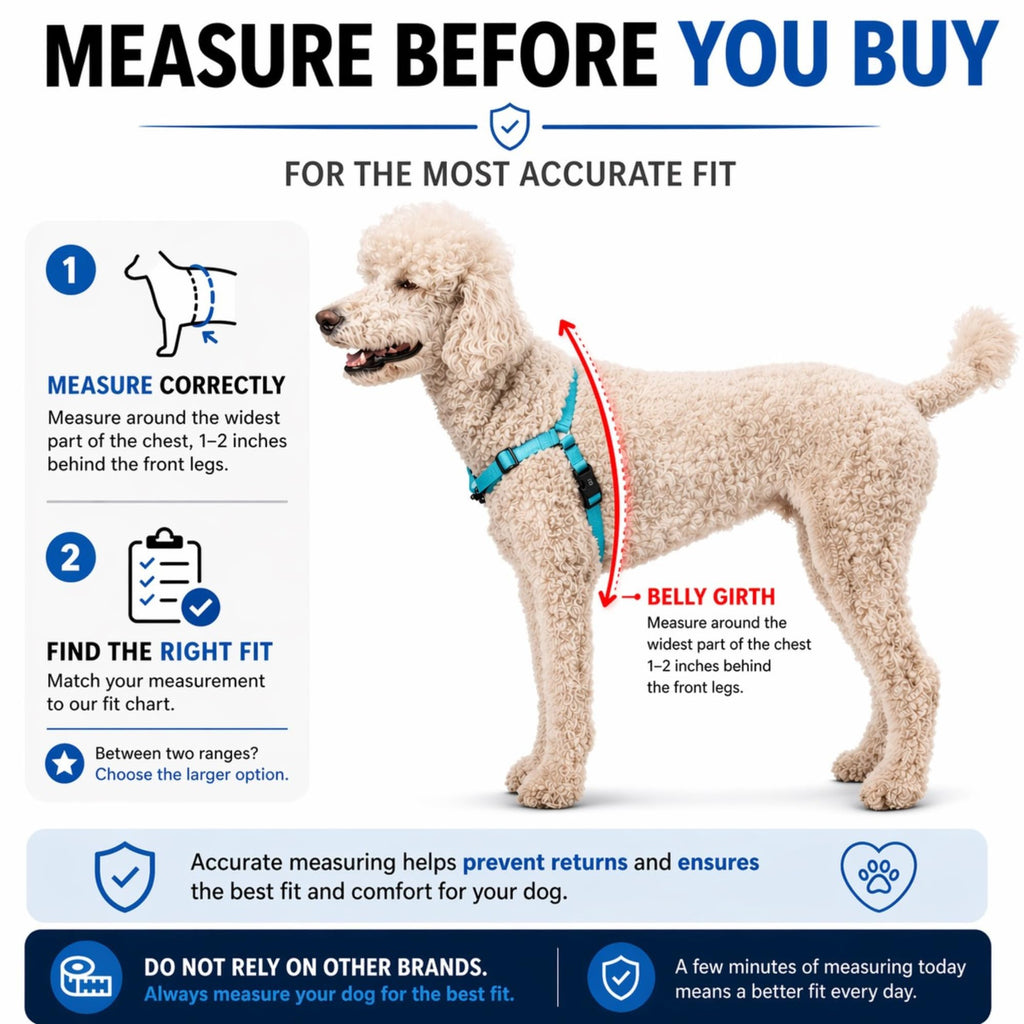 SHAWNCO Dream Walk Pro Dog Harness - No-Pull, Small, Midnight, Nylon - Front & Back Clip