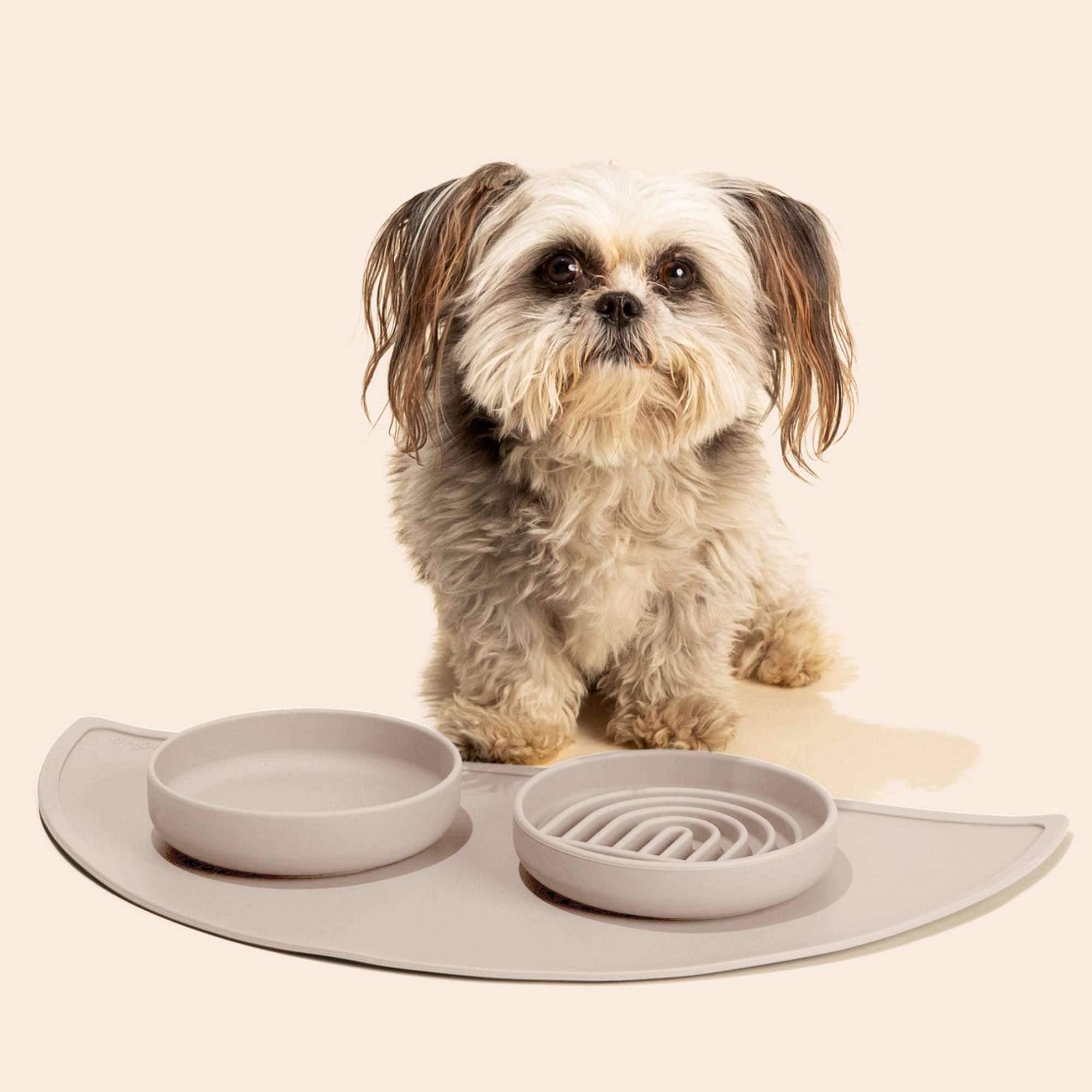Should We Go? Small Slow Feeder Dog Bowl - 6" Silicone Lick Mat for Puppies & Dogs, Tan - Reduces Gulping, Dishwasher Safe