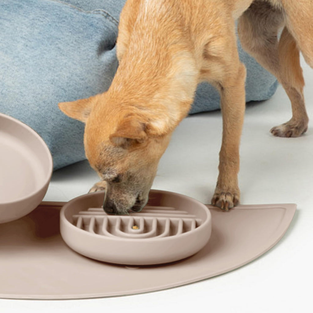 Should We Go? Small Slow Feeder Dog Bowl - 6" Silicone Lick Mat for Puppies & Dogs, Tan - Reduces Gulping, Dishwasher Safe
