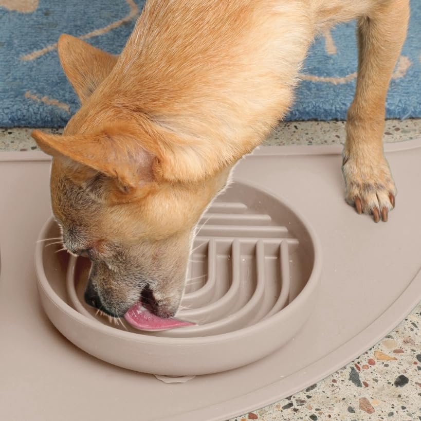 Should We Go? Small Slow Feeder Dog Bowl - 6" Silicone Lick Mat for Puppies & Dogs, Tan - Reduces Gulping, Dishwasher Safe