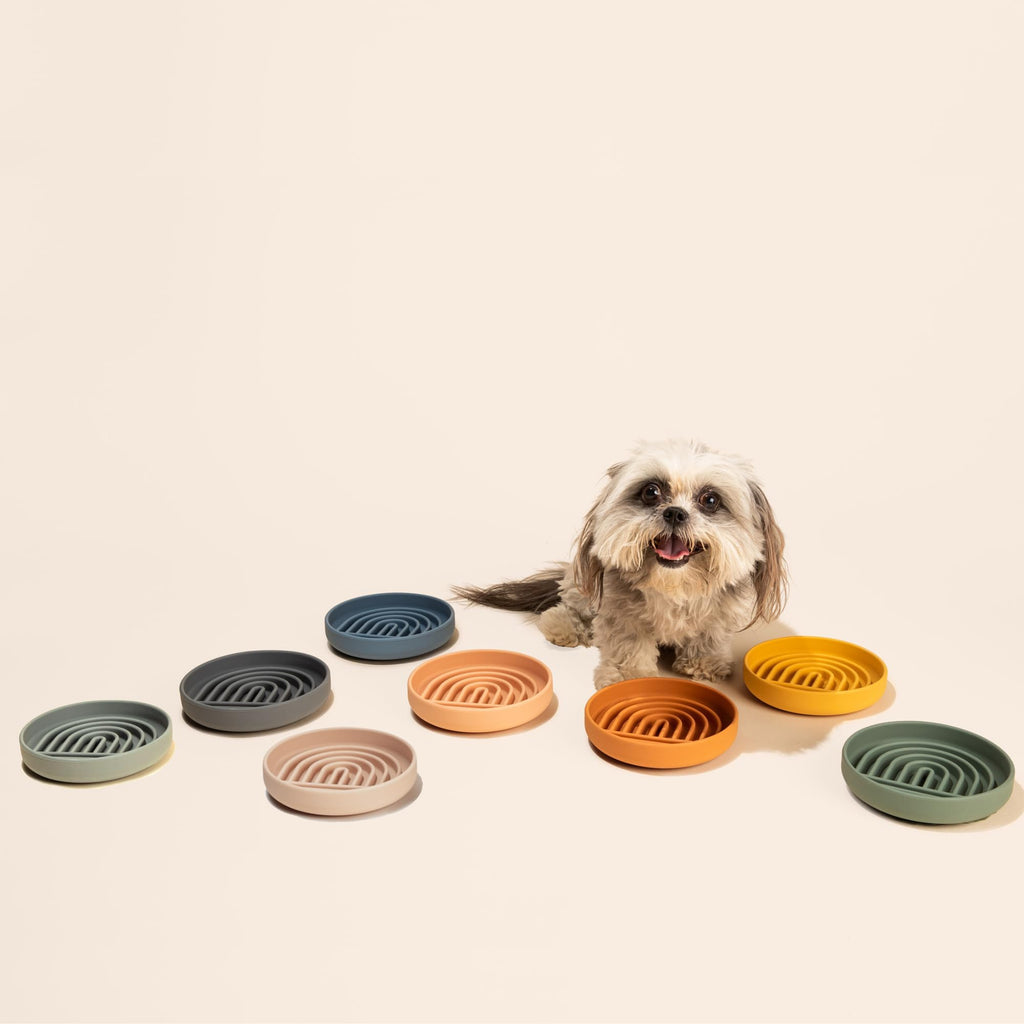 Should We Go? Small Slow Feeder Dog Bowl - 6" Silicone Lick Mat for Puppies & Dogs, Tan - Reduces Gulping, Dishwasher Safe