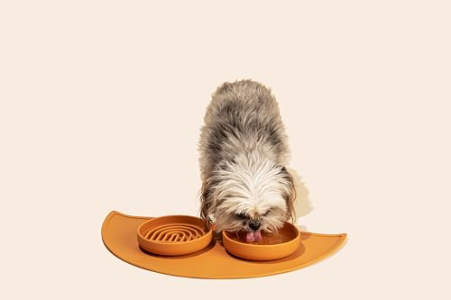 Should We Go? Spruce Silicone Dog Bowl – 2 Cup No-Spill, Suction Cup, Dishwasher Safe