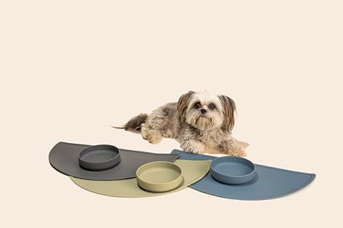 Should We Go? Spruce Silicone Dog Bowl – 2 Cup No-Spill, Suction Cup, Dishwasher Safe
