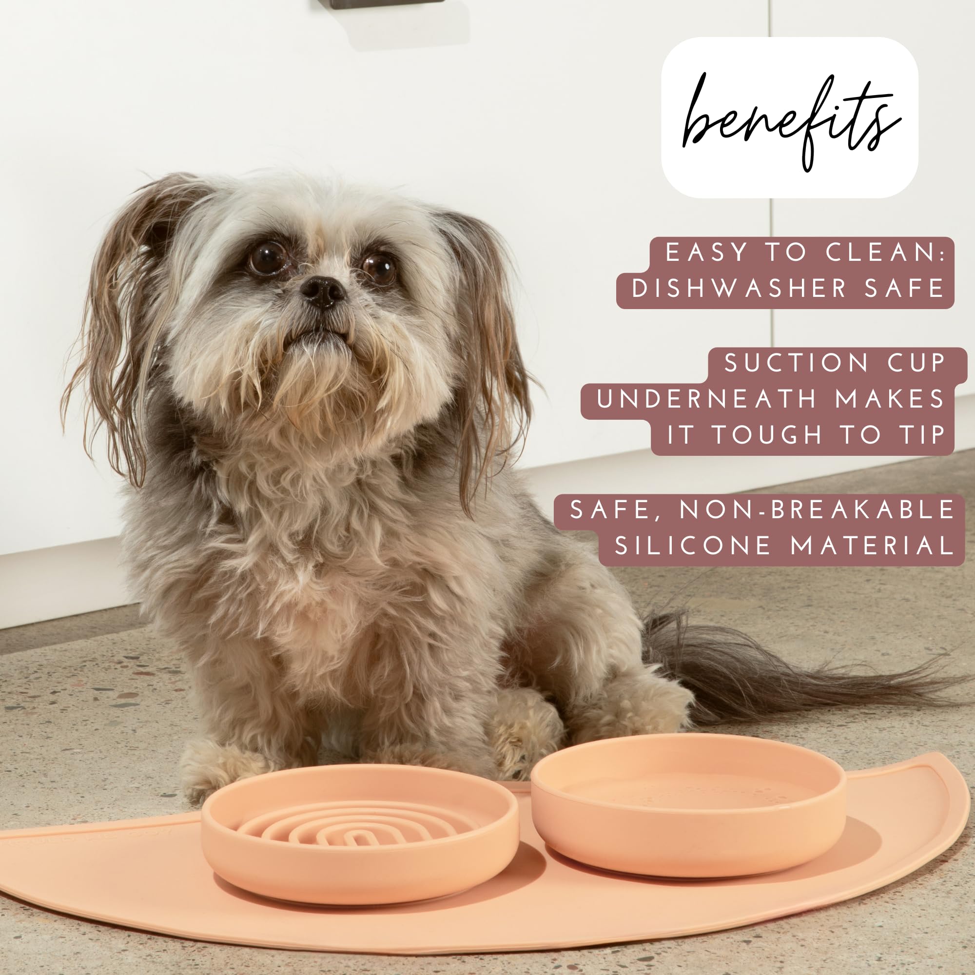 Should We Go? Spruce Silicone Dog Bowl – 2 Cup No-Spill, Suction Cup, Dishwasher Safe